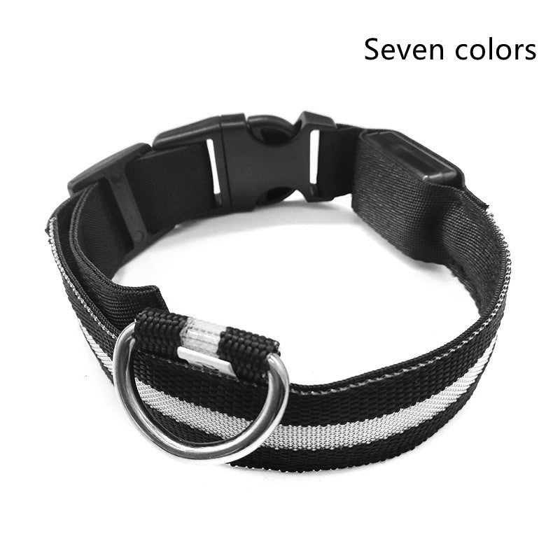 Collier Lumineux en Nylon pour Chien et Chat – Sécurité Nocturne à LED, Réglable et Clignotant