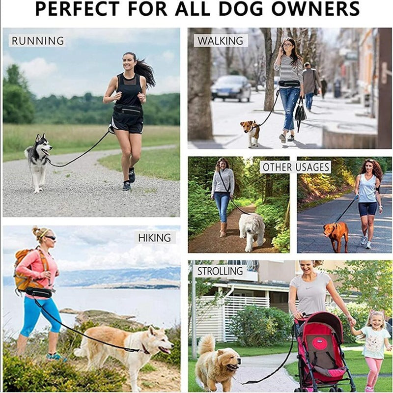 Laisse Mains Libres pour Chien - Ceinture de Promenade avec Amortisseur pour Chiens jusqu'à 80kg