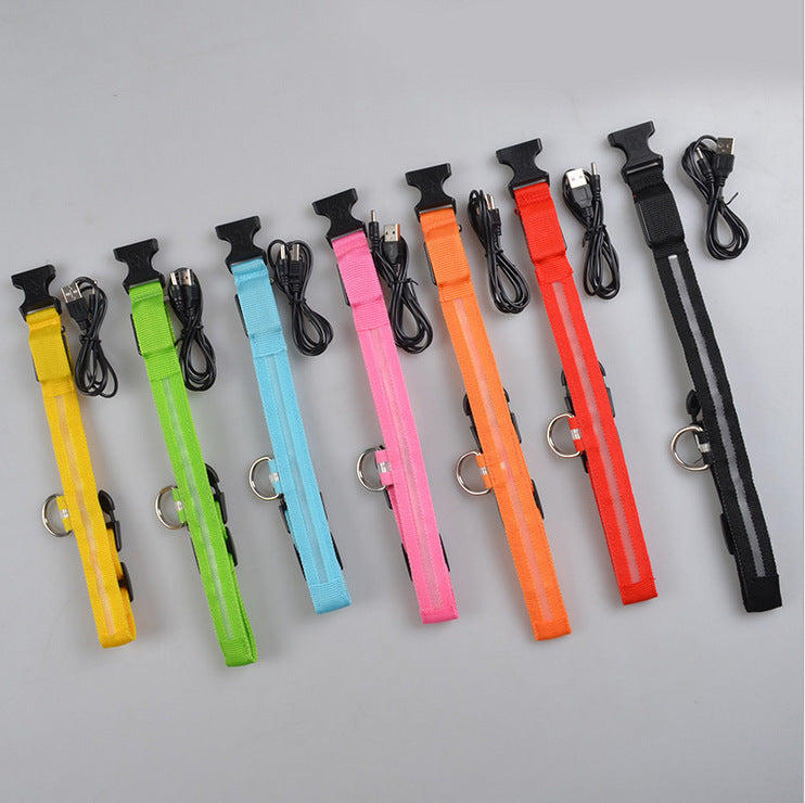 Collier Lumineux en Nylon pour Chien et Chat – Sécurité Nocturne à LED, Réglable et Clignotant