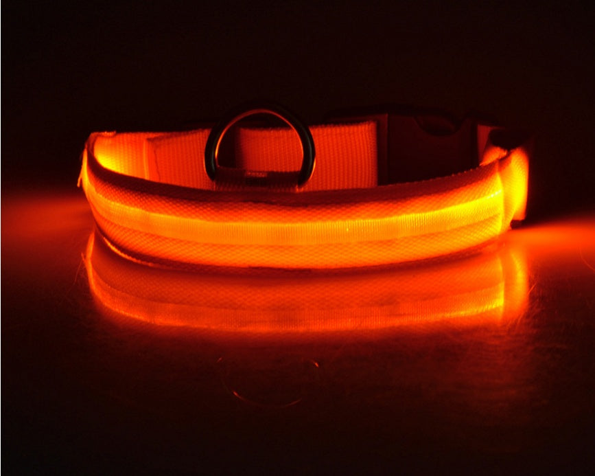 Collier Lumineux en Nylon pour Chien et Chat – Sécurité Nocturne à LED, Réglable et Clignotant