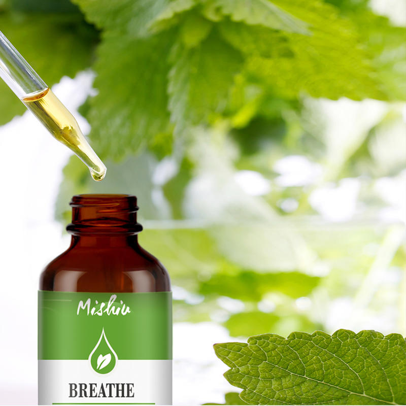Huile Essentielle d’Eucalyptus – Naturelle et Thérapeutique