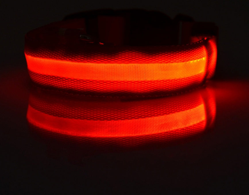 Collier Lumineux en Nylon pour Chien et Chat – Sécurité Nocturne à LED, Réglable et Clignotant