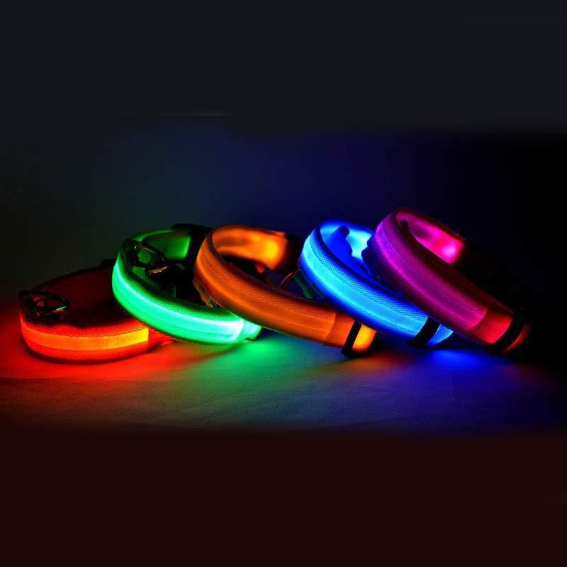 Collier Lumineux en Nylon pour Chien et Chat – Sécurité Nocturne à LED, Réglable et Clignotant