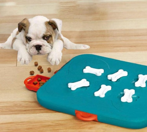 Jouet Puzzle Distributeur de Nourriture pour Animaux