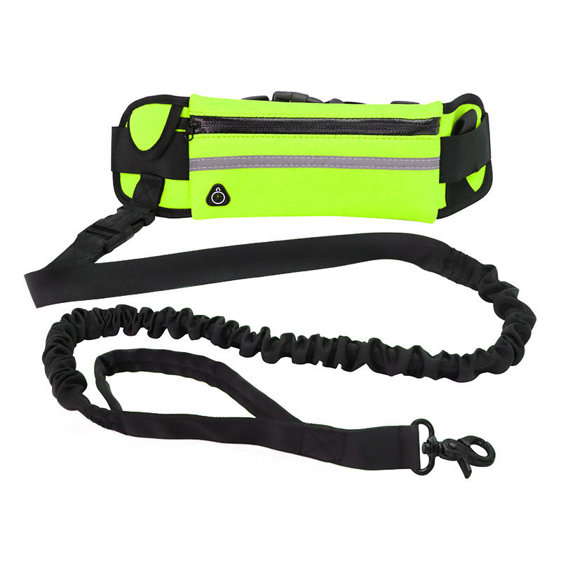 Laisse Mains Libres pour Chien - Ceinture de Promenade avec Amortisseur pour Chiens jusqu'à 80kg