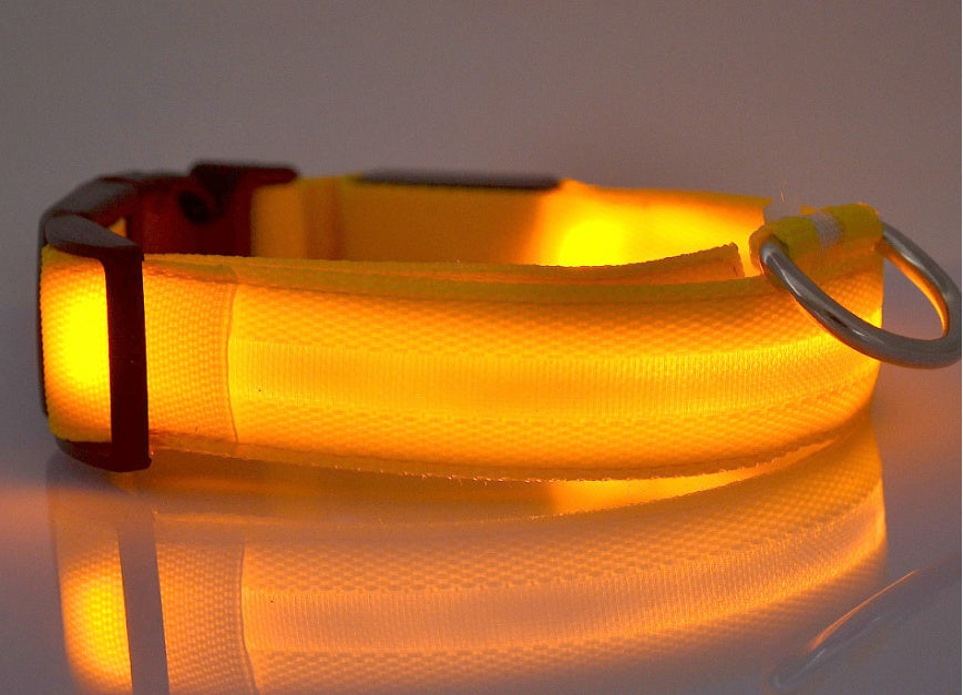 Collier Lumineux en Nylon pour Chien et Chat – Sécurité Nocturne à LED, Réglable et Clignotant