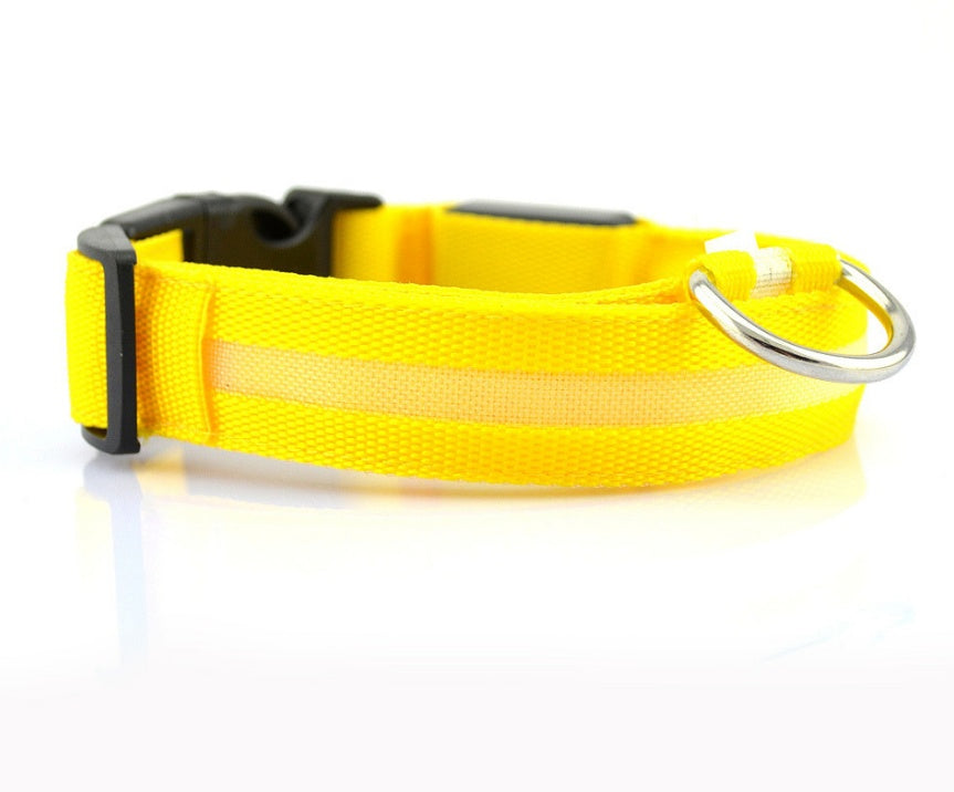 Collier Lumineux en Nylon pour Chien et Chat – Sécurité Nocturne à LED, Réglable et Clignotant