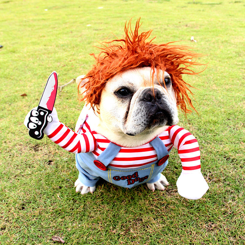 Costume d'Halloween pour Animaux - Déguisement Ajustable pour Chien et Chat