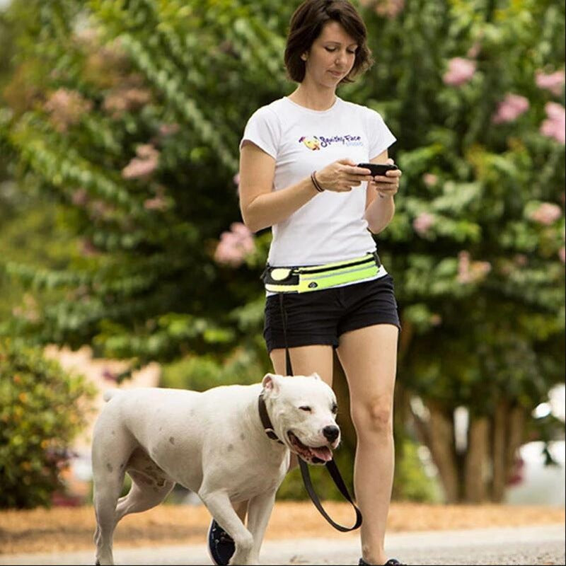 Laisse Mains Libres pour Chien - Ceinture de Promenade avec Amortisseur pour Chiens jusqu'à 80kg