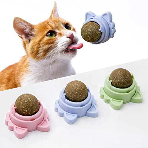 Boules d'herbe à chat adhésives murales - Jouets dentaires naturels pour chats