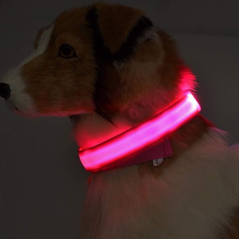 Collier Lumineux en Nylon pour Chien et Chat – Sécurité Nocturne à LED, Réglable et Clignotant