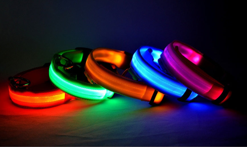Collier Lumineux en Nylon pour Chien et Chat – Sécurité Nocturne à LED, Réglable et Clignotant