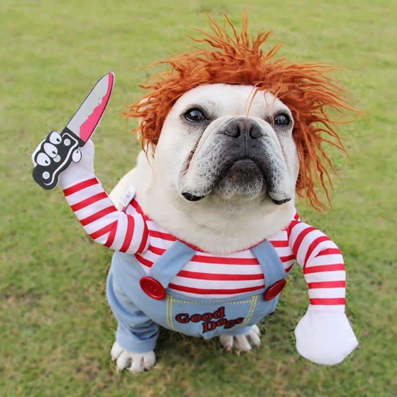 Costume d'Halloween pour Animaux - Déguisement Ajustable pour Chien et Chat