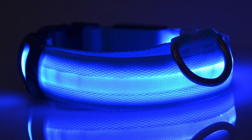 Collier Lumineux en Nylon pour Chien et Chat – Sécurité Nocturne à LED, Réglable et Clignotant