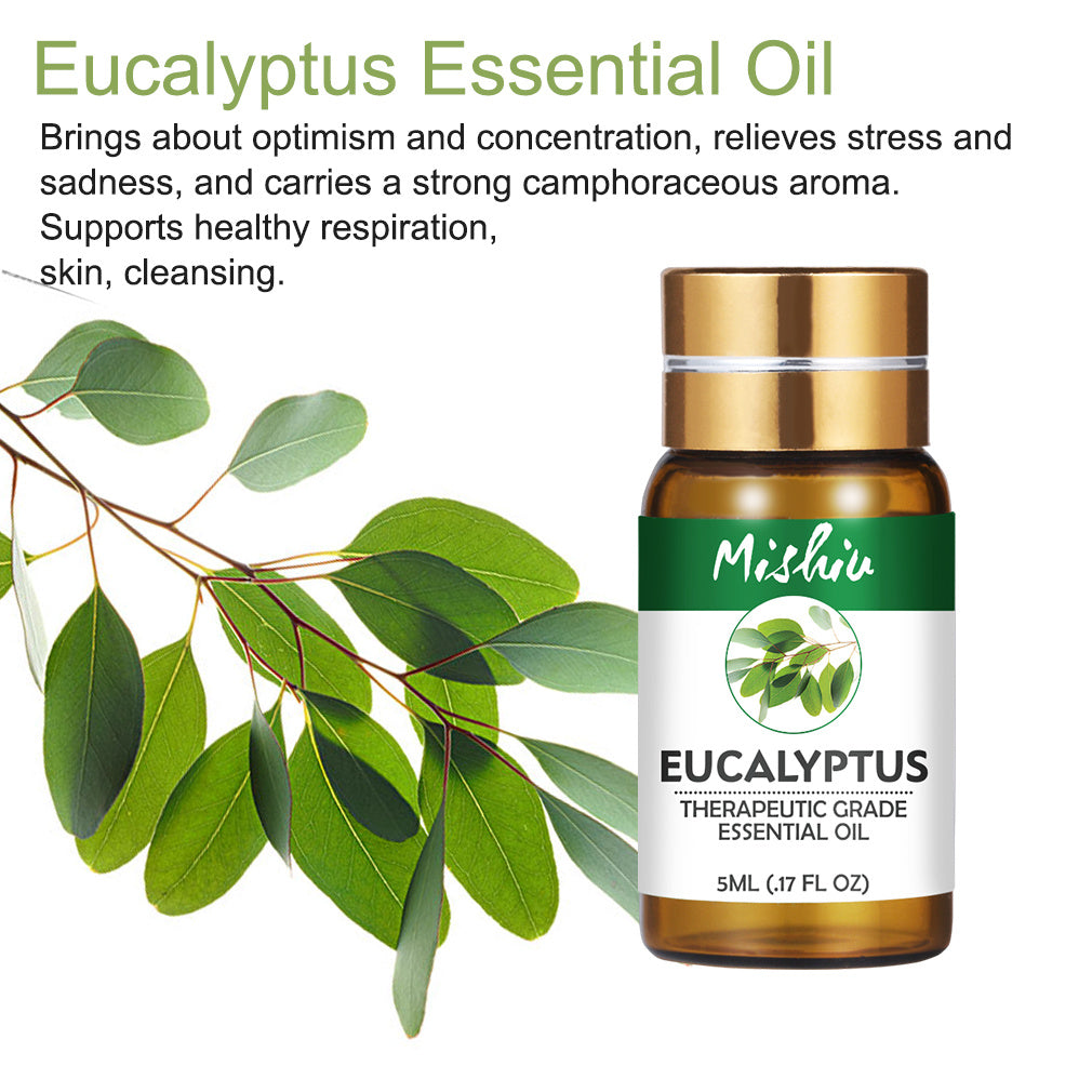 Huile Essentielle d’Eucalyptus – Naturelle et Thérapeutique