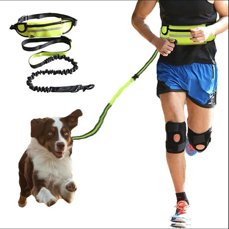 Laisse Mains Libres pour Chien - Ceinture de Promenade avec Amortisseur pour Chiens jusqu'à 80kg