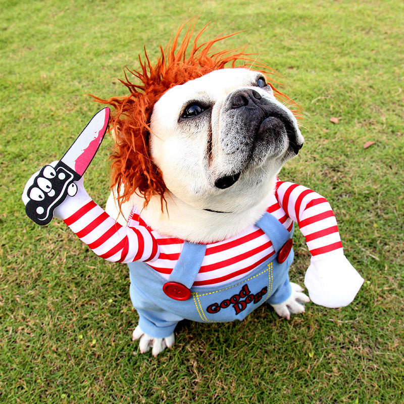 Costume d'Halloween pour Animaux - Déguisement Ajustable pour Chien et Chat