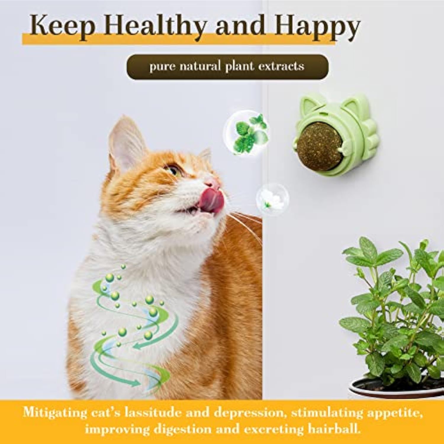 Boules d'herbe à chat adhésives murales - Jouets dentaires naturels pour chats