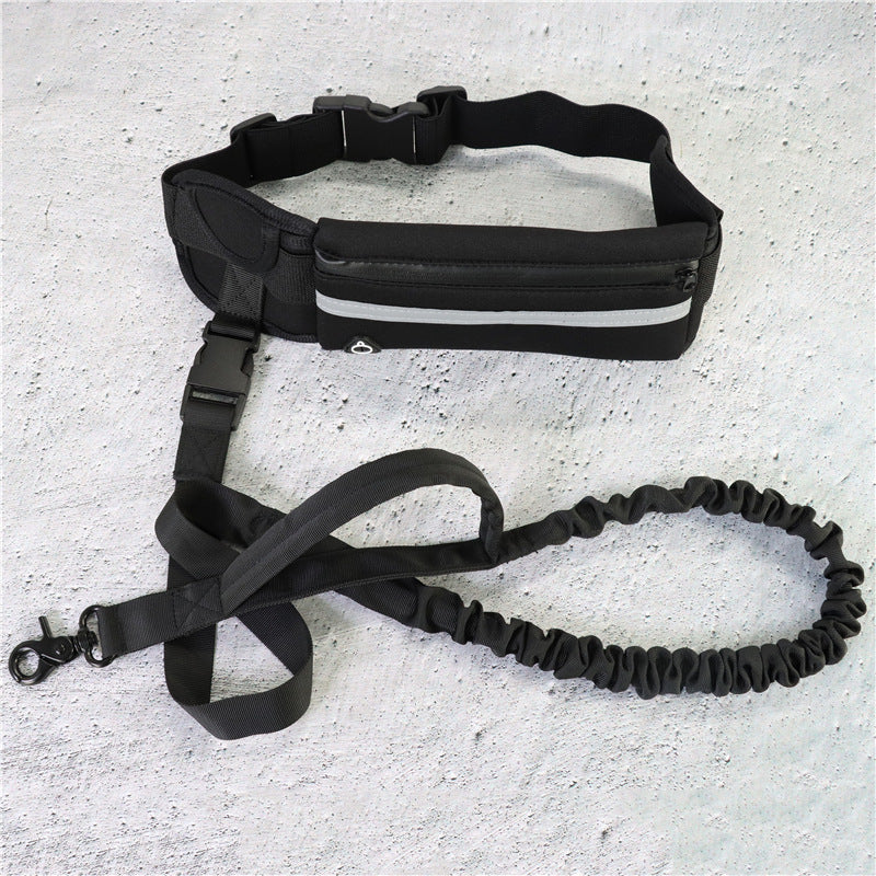 Laisse Mains Libres pour Chien - Ceinture de Promenade avec Amortisseur pour Chiens jusqu'à 80kg