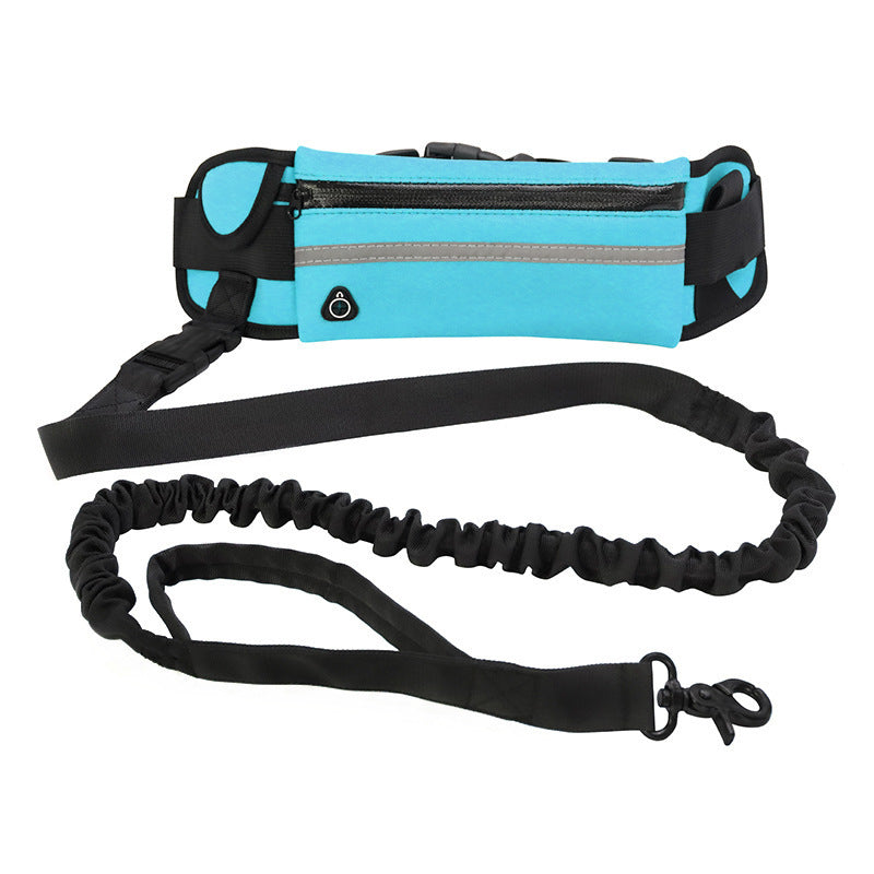 Laisse Mains Libres pour Chien - Ceinture de Promenade avec Amortisseur pour Chiens jusqu'à 80kg