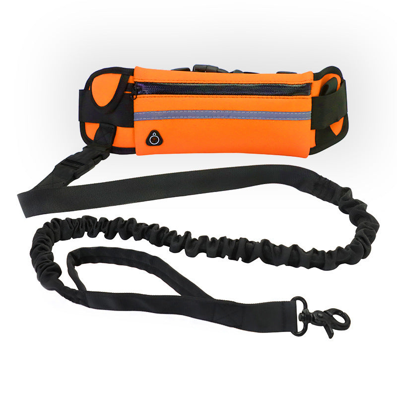 Laisse Mains Libres pour Chien - Ceinture de Promenade avec Amortisseur pour Chiens jusqu'à 80kg