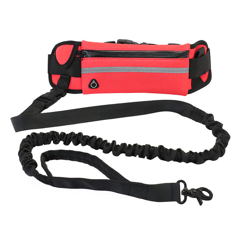 Laisse Mains Libres pour Chien - Ceinture de Promenade avec Amortisseur pour Chiens jusqu'à 80kg