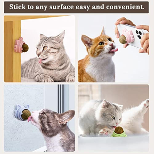 Boules d'herbe à chat adhésives murales - Jouets dentaires naturels pour chats